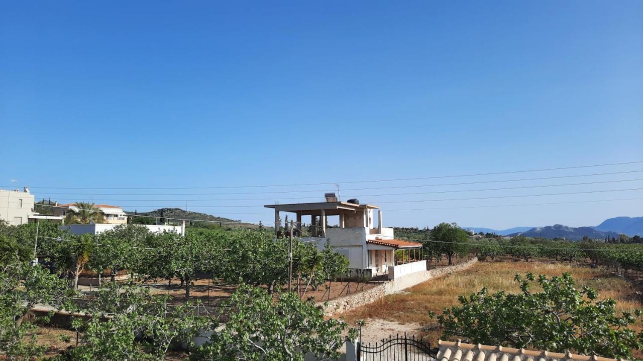 Mosxonas House Apartment Aegina ภายนอก รูปภาพ
