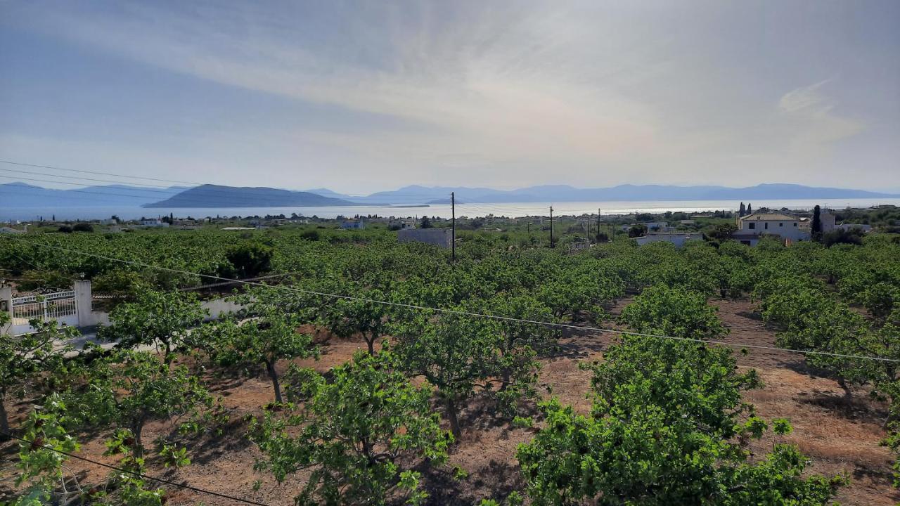 Mosxonas House Apartment Aegina ภายนอก รูปภาพ