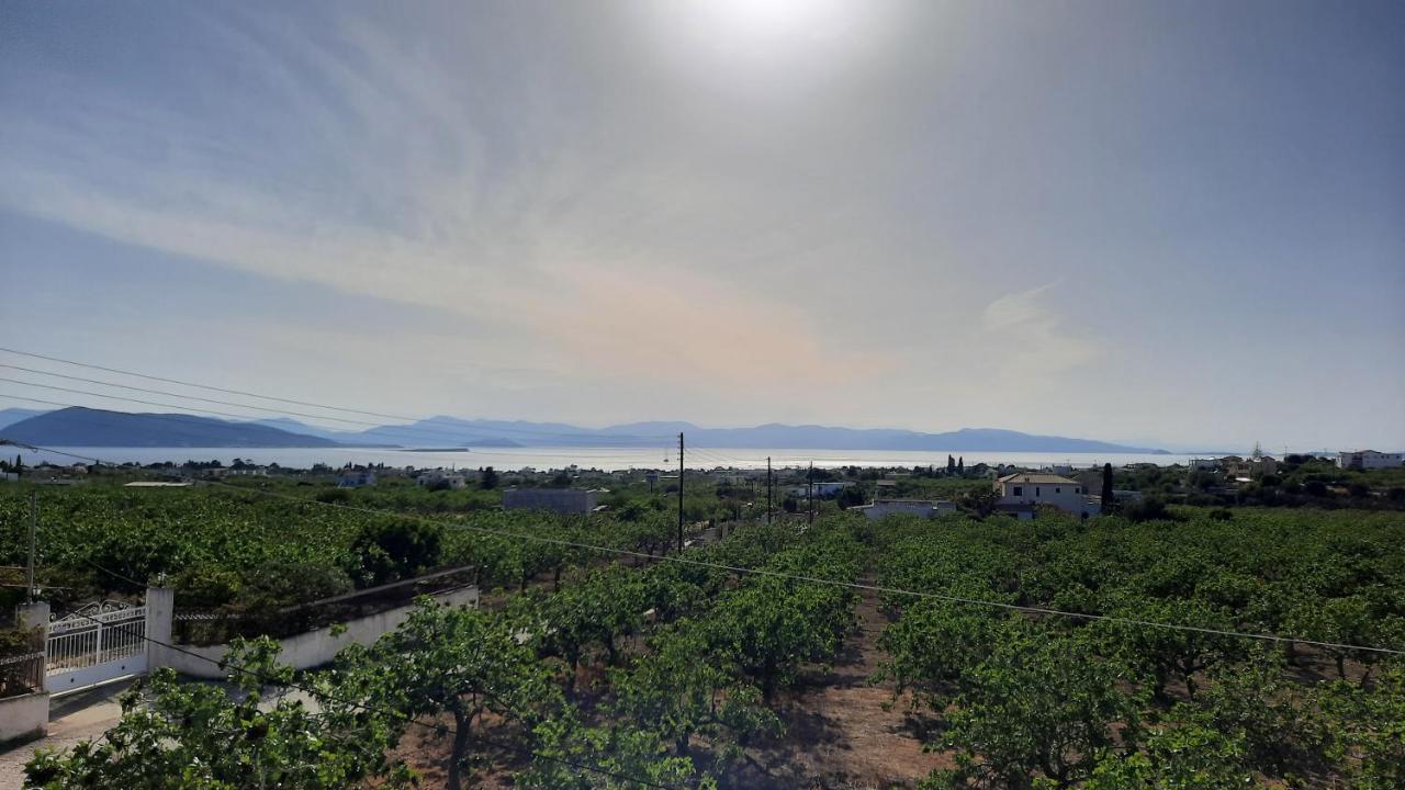 Mosxonas House Apartment Aegina ภายนอก รูปภาพ